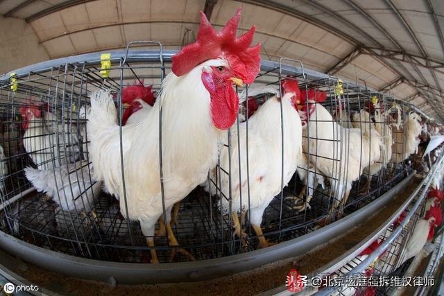 养殖场在禁养区内，拆除之后不给补偿吗？