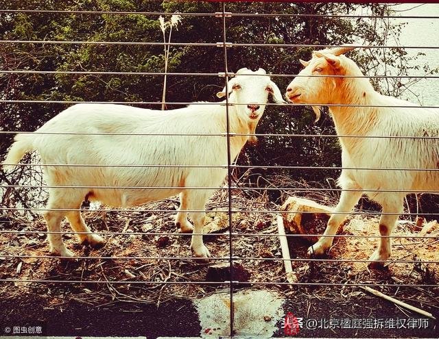 养殖场在禁养区内，拆除之后不给补偿吗？