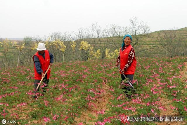 茌平縣徵地，每畝補償6萬，補償安置費總額132萬，能提高補償嗎？