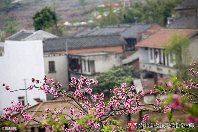 聊城徵地12塊，每畝補償5-7萬，青苗補償2.3萬，怎麼提高補償？