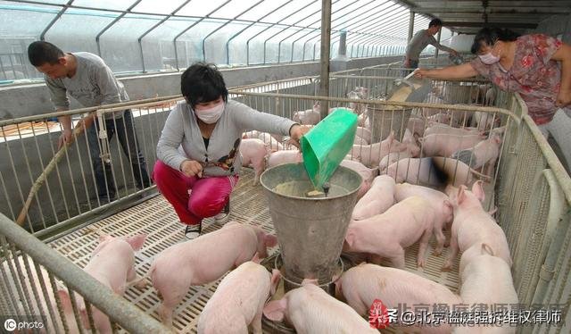 养殖场在禁养区内，被强制拆除以后，能有补偿吗？