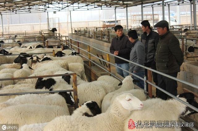 养殖场在禁养区内，被强制拆除以后，能有补偿吗？