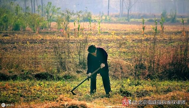 「每天1個徵地拆遷常識」哪些人有權利獲得安置補助費？