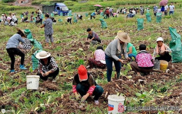 國有土地承包經營權的規定都在這裡，快來了解一下