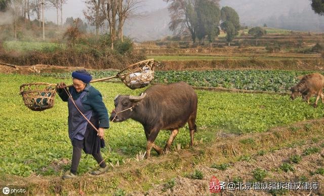 對非法買賣土地如何處罰？