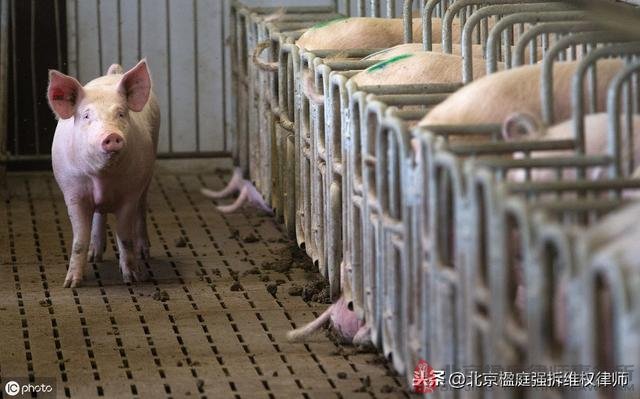 「每天1個徵地拆除常識」養殖場關停怎麼補償合理?
