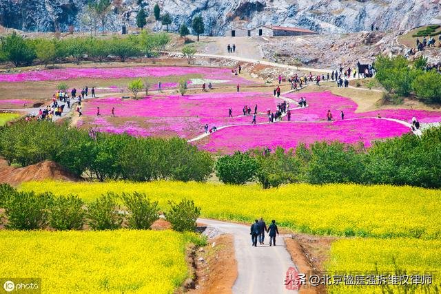 農民最關心的土地問題,農村土地14問與楹庭拆除律師