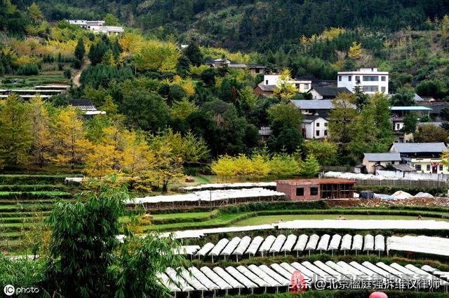 農民最關心的土地問題,農村土地14問與楹庭拆除律師